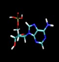 Adenine