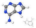 Adenine molecule with chemical formula