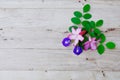 Adenium, pink desert rose and pea flower on wood background