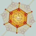 Adeno virus. Background. Eps 10. Royalty Free Stock Photo