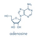 Adenosine Ado purine nucleoside molecule. Important component of ATP, ADP, cAMP and RNA. Also used as drug. Skeletal formula.