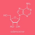 Adenosine Ado purine nucleoside molecule. Important component of ATP, ADP, cAMP and RNA. Also used as drug. Skeletal formula.