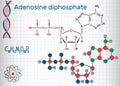 Adenosine diphosphate ADP molecule , is an important organic c Royalty Free Stock Photo