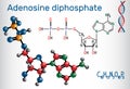 Adenosine diphosphate ADP molecule , is an important organic c
