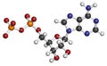 Adenosine diphosphate (ADP) molecule. Plays essential role in energy use and storage in the cell. Atoms are represented as spheres