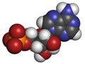 Adenosine monophosphate (AMP, adenylic acid) molecule. Nucleotide monomer of RNA. Composed of phosphate, ribose and adenine Royalty Free Stock Photo