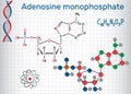 Adenosine monophosphate AMP molecule, it is an ester of phosph Royalty Free Stock Photo