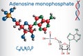 Adenosine monophosphate AMP molecule, it is an ester of phosph Royalty Free Stock Photo