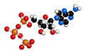 Adenosine triphosphate ATP molecule. Functions as neurotransmitter, RNA building block, energy transfer molecule, etc 3D. Royalty Free Stock Photo