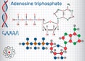 Adenosine triphosphate ATP molecule , is intracellular energy Royalty Free Stock Photo