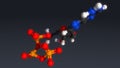 Adenosine triphosphate structure