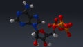 Adenosine triphosphate structure