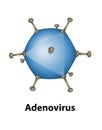 Adenovirus Cell External Structures Illustration Royalty Free Stock Photo