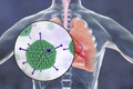 Adenovirus infection, adenoviruses in human lungs