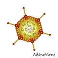 Adenovirus virus particle structure Royalty Free Stock Photo