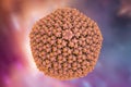 Adenovirus, a virus which cause respiratory infections Royalty Free Stock Photo