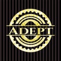 Adept shiny badge. Vector Illustration. Detailed