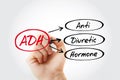 ADH - Antidiuretic Hormone acronym