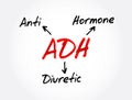 ADH - Antidiuretic Hormone acronym, concept background