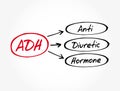 ADH - Antidiuretic Hormone acronym