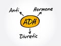 ADH - Antidiuretic Hormone acronym, concept background