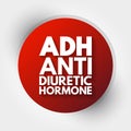 ADH - Antidiuretic Hormone acronym, concept background