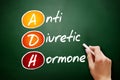 ADH - Antidiuretic Hormone acronym, concept on blackboard