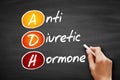 ADH - Antidiuretic Hormone acronym, concept on blackboard
