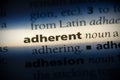 Adherent Royalty Free Stock Photo