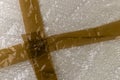 Adhesive tape on a bubble wrap Royalty Free Stock Photo