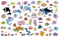 Adhesives of all species of fish, marine life, sea vegetation, and funny sea animals Royalty Free Stock Photo