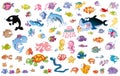 Adhesives of all species of fish, marine life, sea vegetation, and funny sea animals