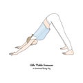 Adho Mukha Svanasana or Downward Facing Dog. Vector