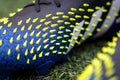 Adidas Predator Freak, new football boots in 2021.