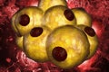 Adipocyte Human Fat Cells 3D Illustration Royalty Free Stock Photo