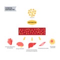 Adiponectin fat tissue