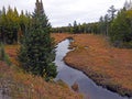 Adirondack Autumn Fall tree, pine and stream vista Royalty Free Stock Photo
