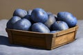 Adirondack Blue is a potato with blue skin