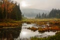 Adirondack Marsh Royalty Free Stock Photo