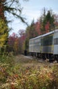 Adirondack Autumn meadow flowers with railroad train Royalty Free Stock Photo