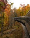 Train on the track curves through colored trees Royalty Free Stock Photo