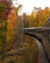 Train on the track curves through colored trees