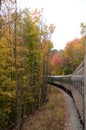 Train moving through the Adirondack Autumn wilderness Royalty Free Stock Photo