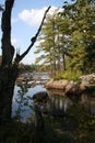 Adirondacks, Boulders at Lake Durant Vertical