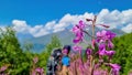 Adishi - A man sitting between the bushes of Rosebay Willowherb blooming in high Caucasus mountains in Georgia