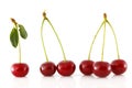 Adjacent cherries with stem