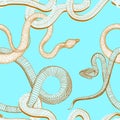 Adjoining, amphibian. Snakes seamless pattern