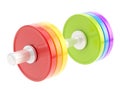 Adjustable colorful dumbbell isolated