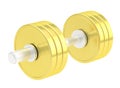Adjustable golden dumbbell isolated