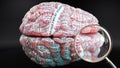 Adjustment disorder in human brain